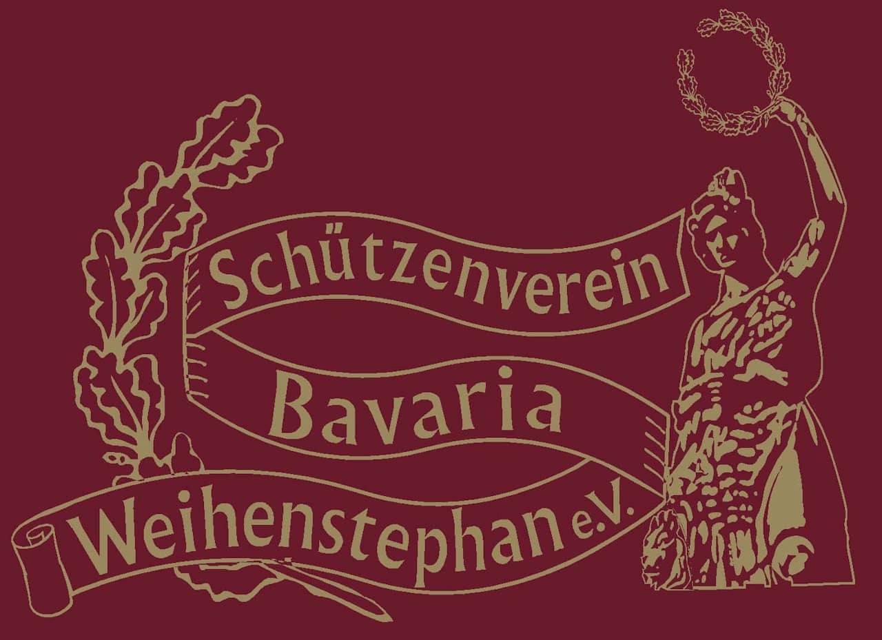BSW Logo